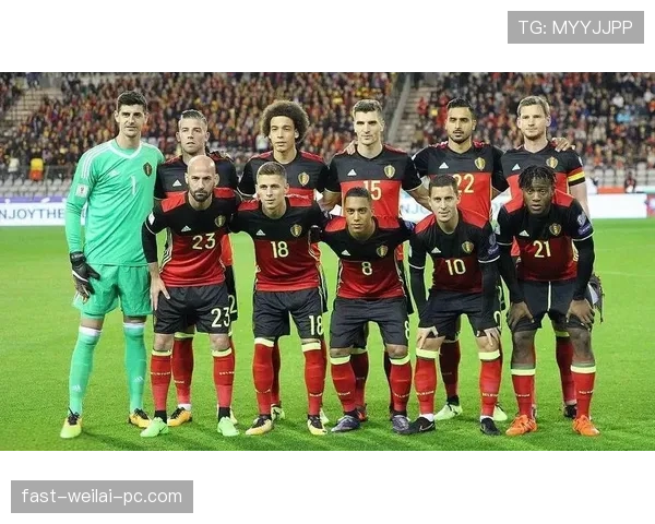 比利时晋级世界杯32强：G组头名身份出线